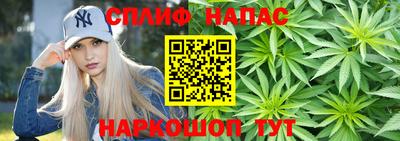 сатива Рязань