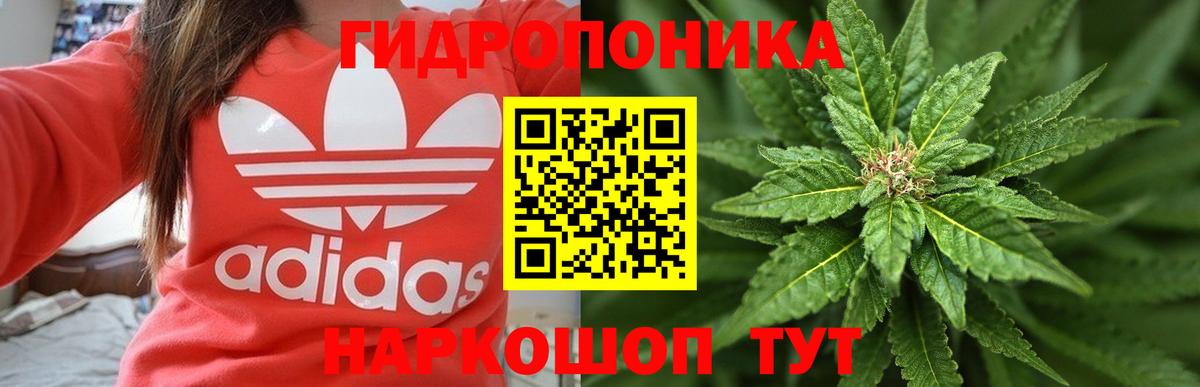 Бошки Шишки Ganja  Вход с VPN  Реж  Марихуана планчик 